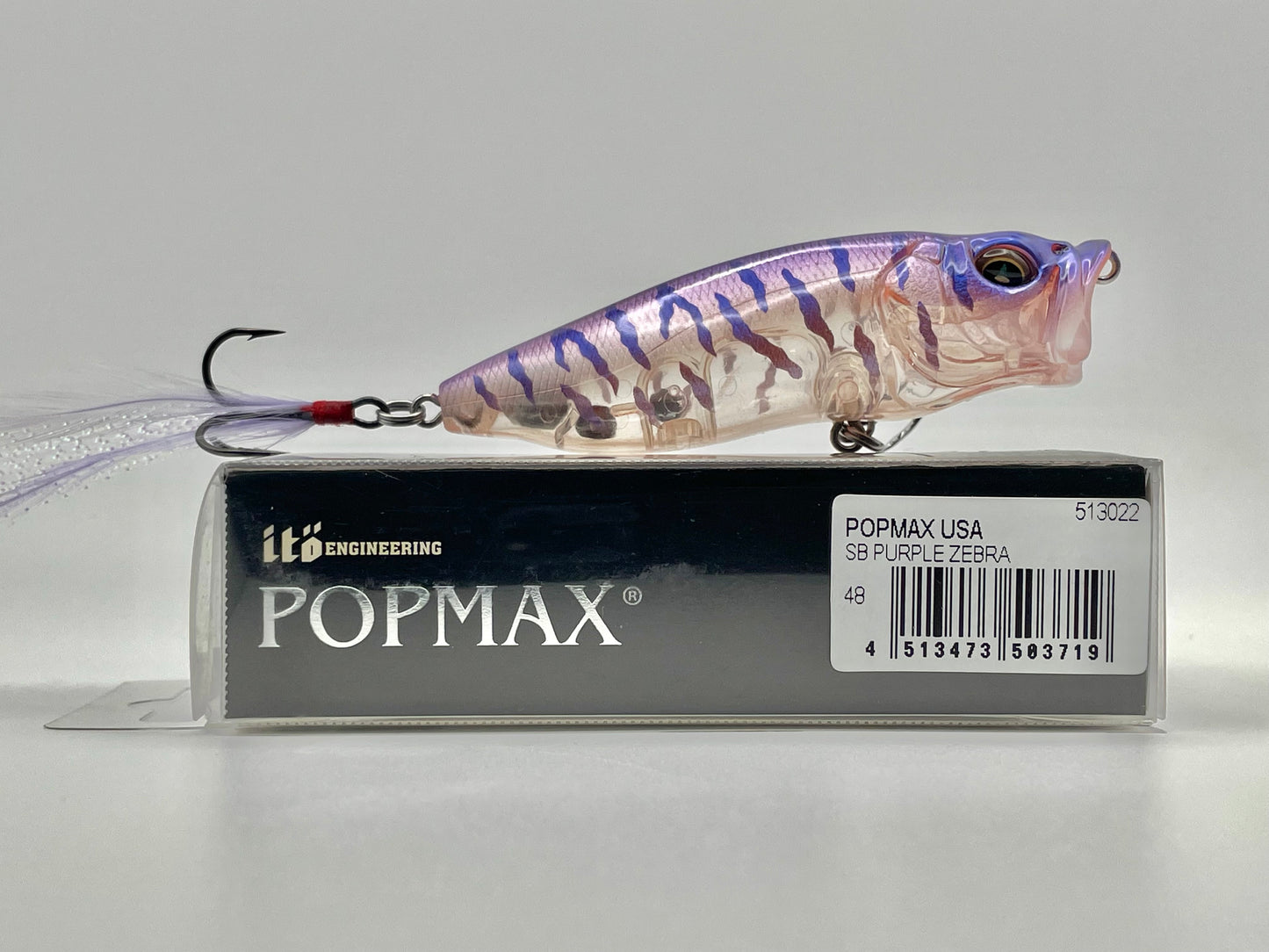 SB PURPLE ZEBRA - POPMAX USA (Crease in hang tag)
