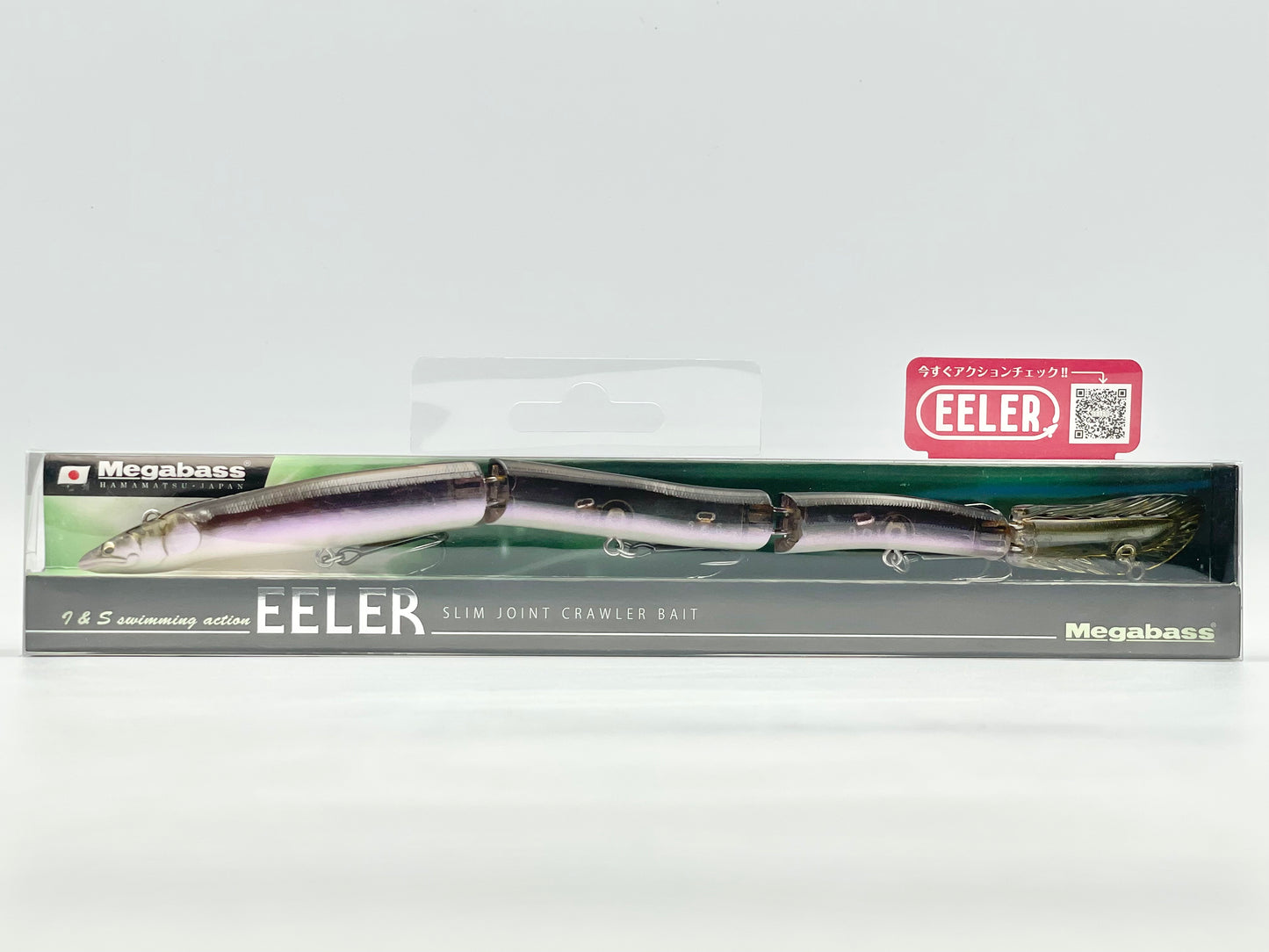 CLEAR LOACH - EELER