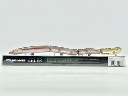 CLEAR LOACH - EELER