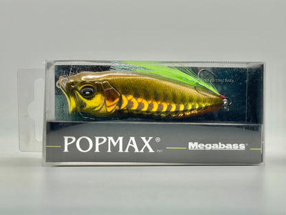 DRAGON FISH G - POPMAX (SP-C) (Damaged flap)