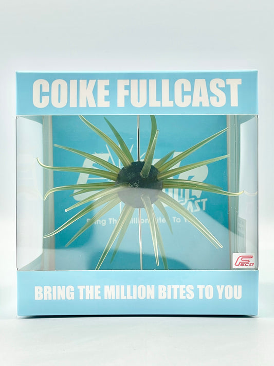 HIDEUP COIKE FULLCAST #101 - WATERMELON