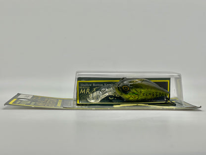 GG BASS - MR-X GRIFFON