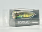 GG TANNIN GILL II - POPMAX