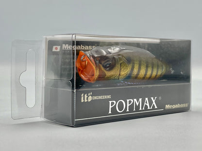 GLX ITO GILL - POPMAX