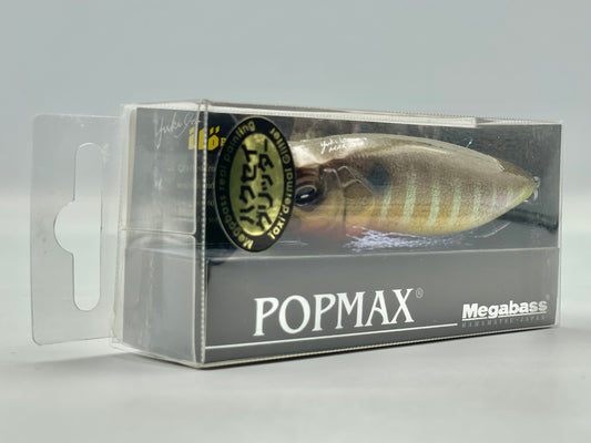 HAKUSEI GLITTER GILL - POPMAX (With Front Sticker)