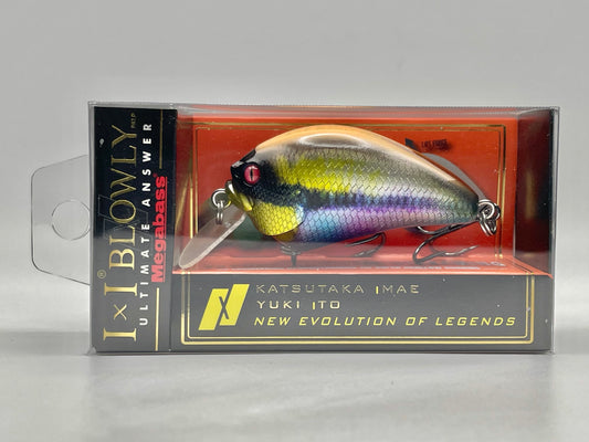 ITO CICHLID - IXI BLOWLY