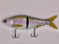 PHONEYFROGUSA 7" SCALED SHINER - RAINBOW TROUT