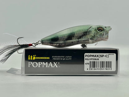 POLYPTERUS - POPMAX (SP-C) (2023 Megabass Lucky Bag)