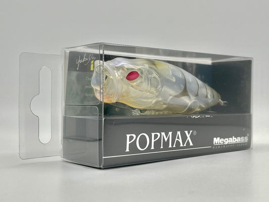 REDEYE GLASS SHRIMP - POPMAX (SP-C) RESPECT SERIES #51