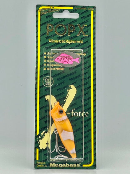 SEETHROUGH KUMANOMI - POP X SW (SP-C)