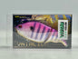 VISION VIOLA - VATALION (F)(SP-C) *Y.S.H. COLOR*